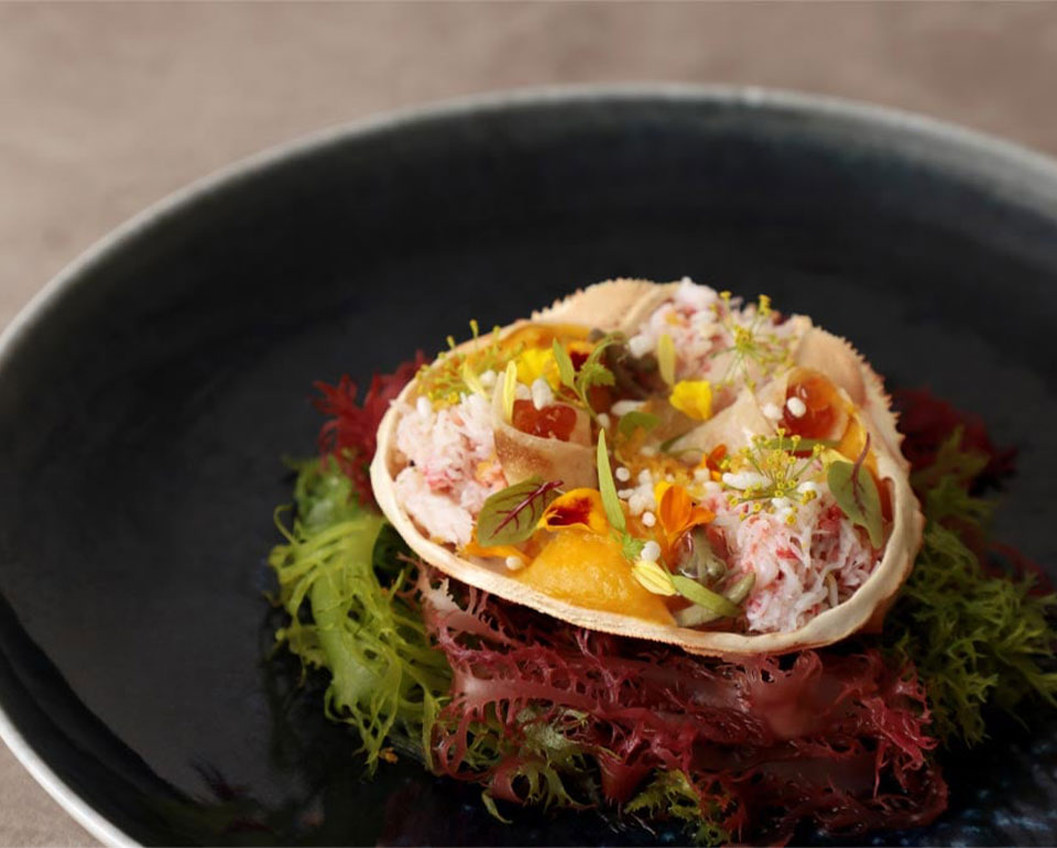 イメージ サムネイル画像